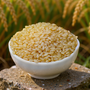 糙米 农家新米玄米发芽糙米饭低脂低升糖健身代餐粗粮五谷杂粮5斤