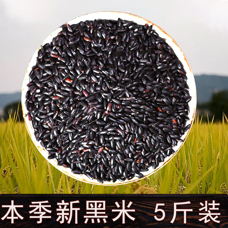 黑香米黑糙米低脂饱腹新米真空装