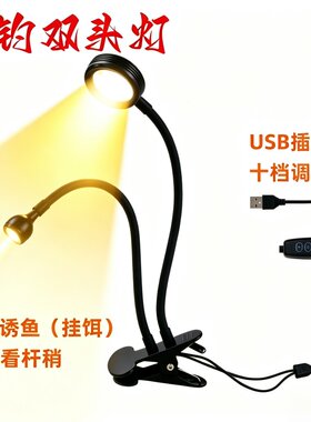 筏钓诱鱼灯杆稍灯双头调光灯夜钓