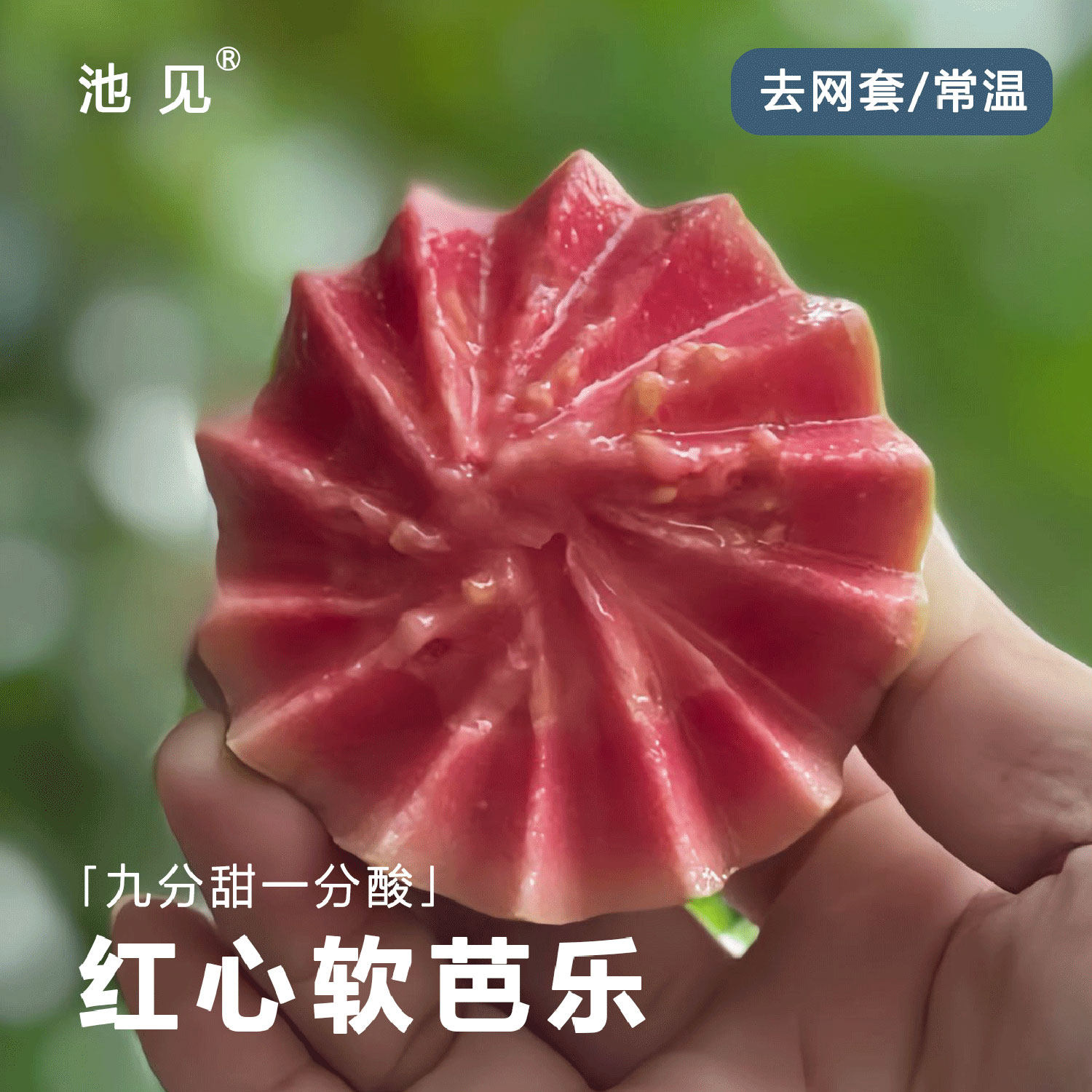 池见 广东湛江草莓红心软芭乐番石榴奶油芭乐鸡屎果新鲜热带水果
