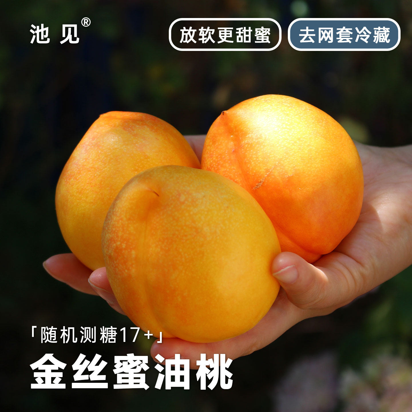 池见金丝蜜油桃黄金桃山东临沂现摘现发孕妇桃子新鲜水果顺丰快递,水产肉类/新鲜蔬果/熟食,桃,淘宝优惠券,粉丝福利购,淘宝优惠卷