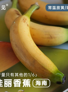 池见佳丽拇指小香蕉当季新鲜水果