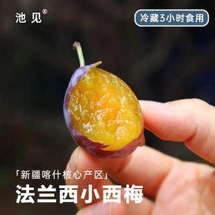 池见  新疆喀什法兰西小西梅 味道足 香甜多汁！可以给小孩吃