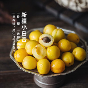 池见 新疆 轮台小白杏 纯甜无酸 从牙齿甜到腰的小白杏 果期佳