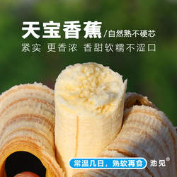 池见 自然熟时令新鲜水果当季小米蕉精品香焦福建本地天宝香蕉