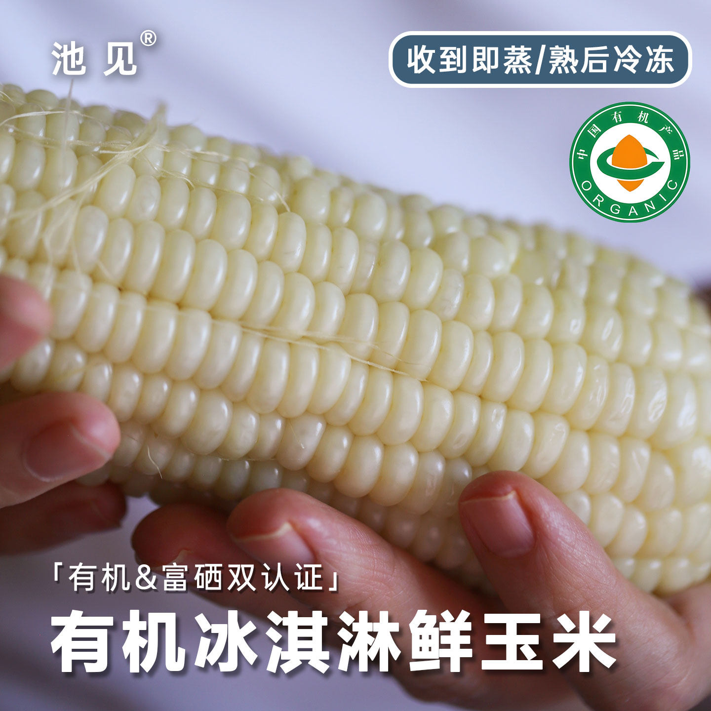 池见 有机富硒甜苞谷新鲜甜玉米冰淇淋糯玉米当季时令现摘甘甜,水产肉类/新鲜蔬果/熟食,新鲜玉米,淘宝优惠券,粉丝福利购,淘宝优惠卷