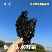 池见正宗福建霞浦深海头水紫菜烤干特级无沙免洗紫菜汤紫菜饼干货
