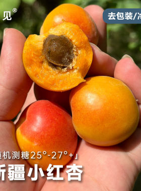 池见新疆小红杏一果两吃