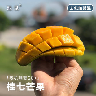 池见 当季现摘现发桂七芒果白色田东礼盒新鲜水果香芒