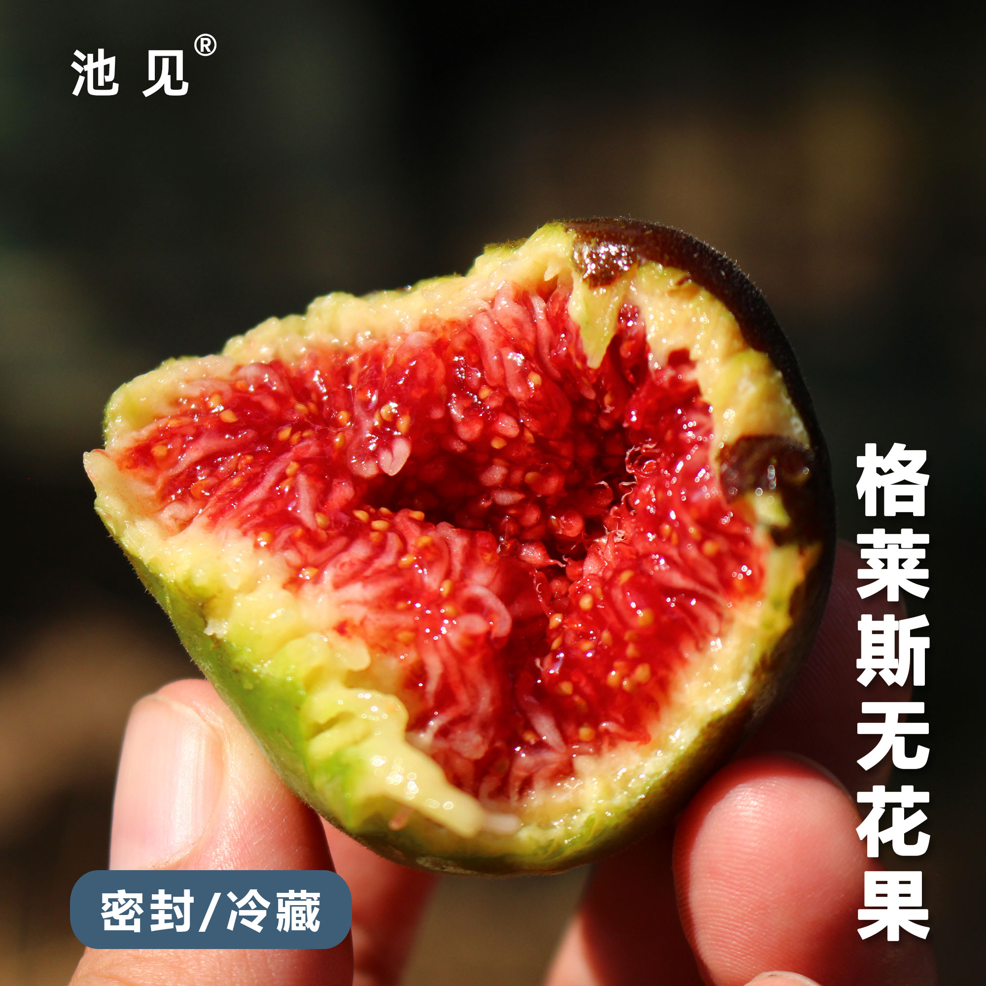 树上完熟高端蜜糖格莱斯无花果图片