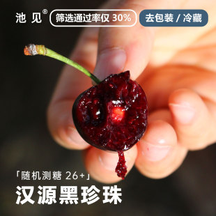 池见四川汉源黑珍珠套袋车厘子樱桃新鲜水果当季孕妇水果顺丰航空
