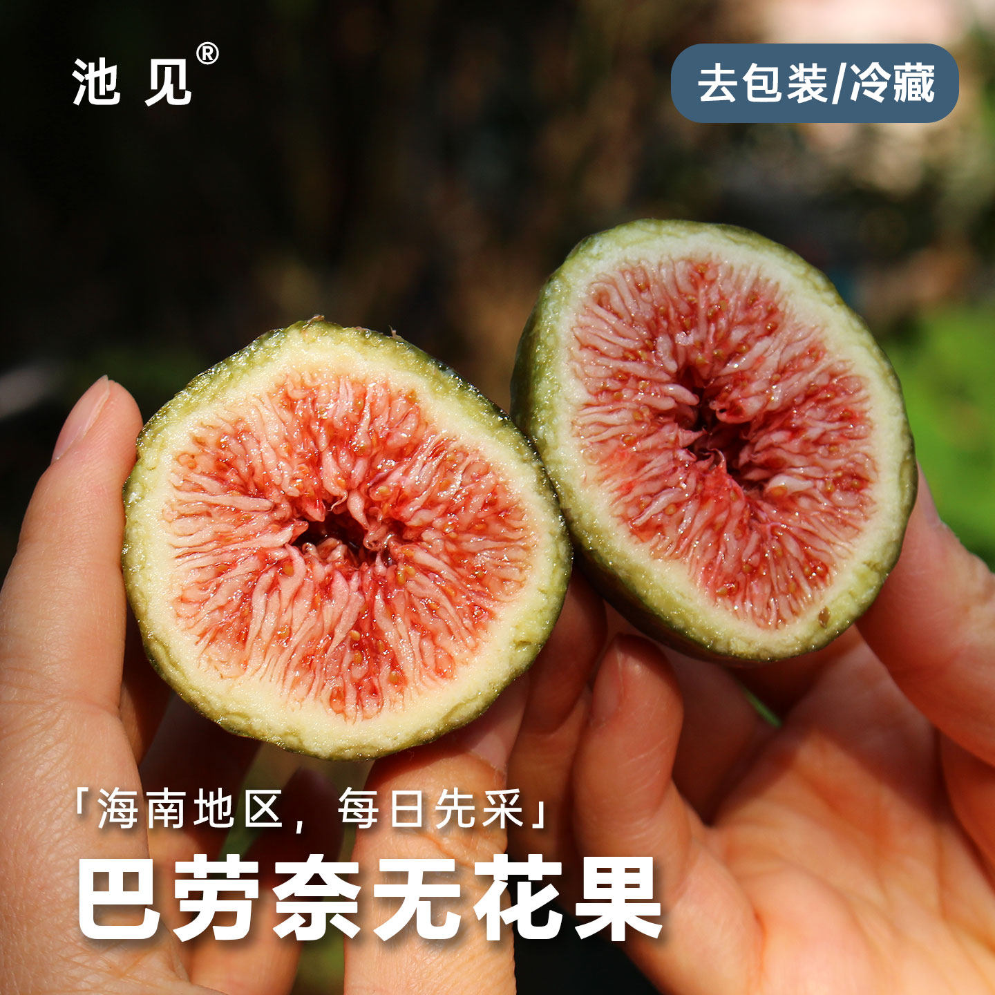 池见 海南花香蜜蜜糖巴劳奈无花果新鲜蜜心丰盈甜而不腻当季水果