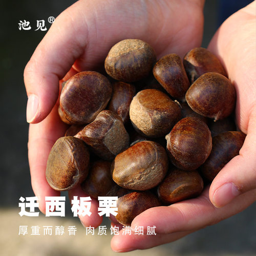 池见迁西板栗粉糯醇香