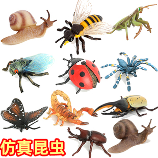 仿真蜗牛青蛙模型野生动物儿童玩具实心PVC昆虫类环保场景摆件