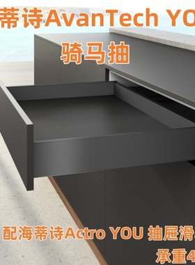 海蒂诗AvanTech YOU抽屉套装骑马抽阻尼缓冲橱柜衣柜炭黑承重40KG