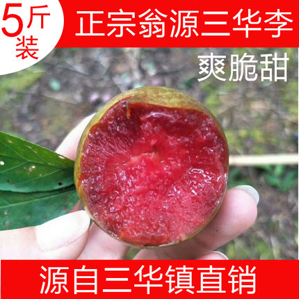 【火爆大促】正宗韶关翁源三华李子 新鲜水果红心李三华李5斤装