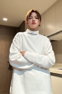 中性风 德绒打底衫半高领加厚内搭绣花情侣卫衣男女H906特批P25图片