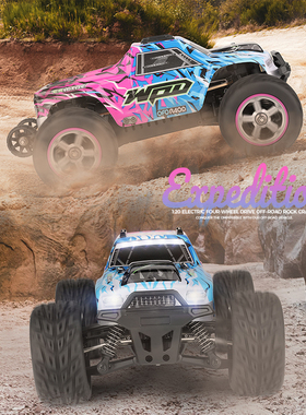 伟力 204006 1/20全比例RC遥控车漂移竞速四驱高速大脚越野车模型