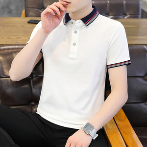 男POLO衫春夏秋翻领短袖新款潮男高档T恤纯色商务休闲PL6617P40图片