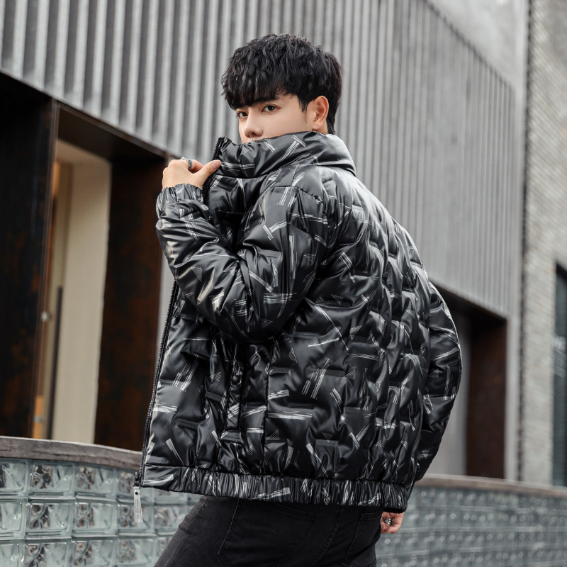 8027羽绒服男士秋冬季帅男士亮面印花立领男装外套YR2027P95，男装羽绒服，星座1902A（原星座1216）