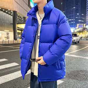 2026冬季短款男士羽绒服青年男女立领宽松上衣加厚外套 YR023P100图片
