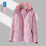 女款粉色