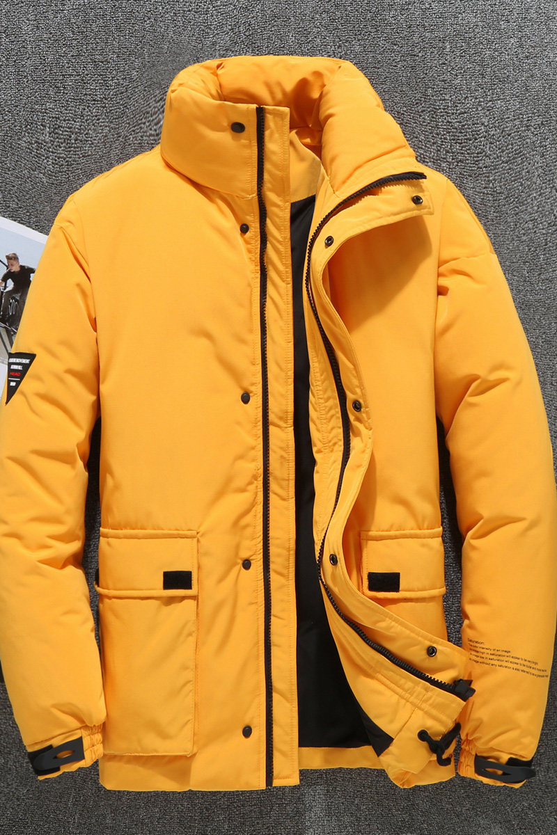 新款男式羽绒服冬装外套男加厚白鸭绒男款潮流服BLLZ-898-P120,男装羽绒服,星座1410（原1902A）
