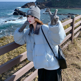 【现货】85163P245K378灯芯绒领口拼接羽绒服，女装短外套，浙宝169A(原263)