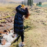 现货亮面中长款棉服263-2111-P180K258，女装棉衣/棉服，浙宝169A(原263)