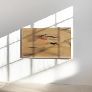 crisis 饰画客厅卧室办公室暖色侘寂风 art98抽象画装
