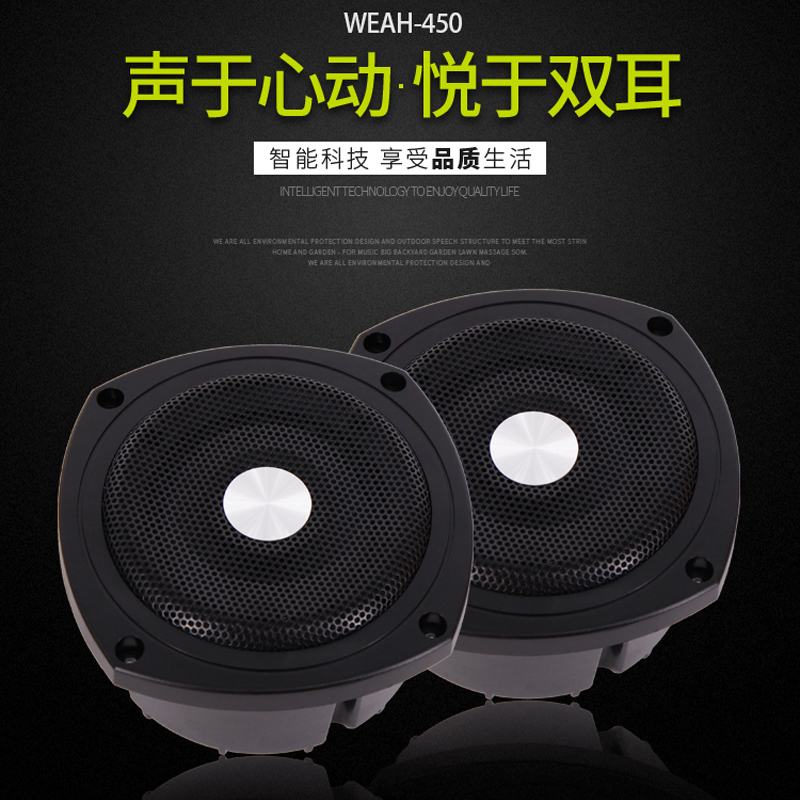 全新高保真中音喇叭桌面对箱家庭影院无源音箱中音音箱WEAH-450
