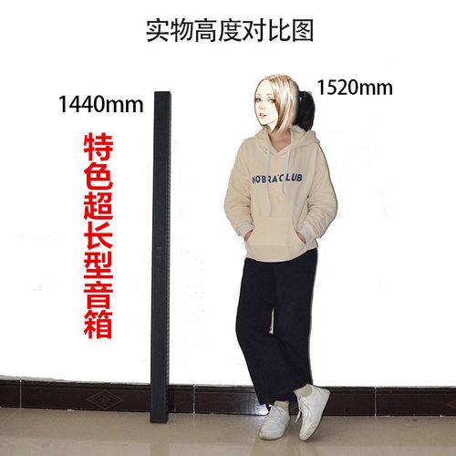 大电视一体式组合型长条中置音箱