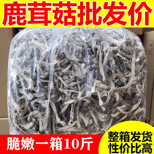 鹿茸菇干货10斤整箱脆脆菇
