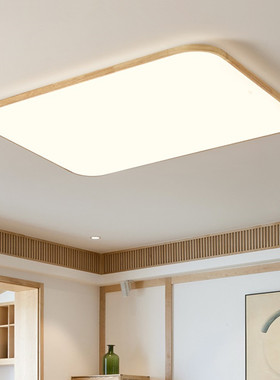 雷士照明现代简约LED吸顶灯日式原木侘寂客厅灯新中式灯卧室灯具