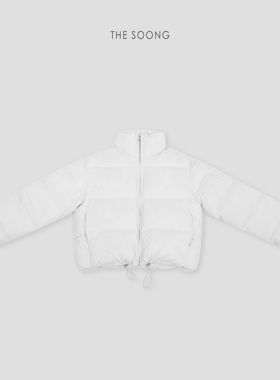 THESOONG/新款女装定制三防95鹅绒保暖立领白色羽绒服外套8293