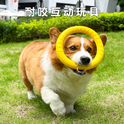 Собака летающая тарелка corki shiba di doug dog dog dog dog special commest traint trainting mask mask dog dog toy