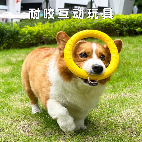 宠物飞盘玩具耐磨可浮水
