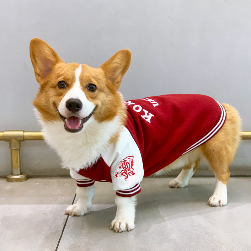 柯基狗狗衣服秋冬装保暖雪纳瑞柴犬棒球服中小型犬宠物潮牌春秋款