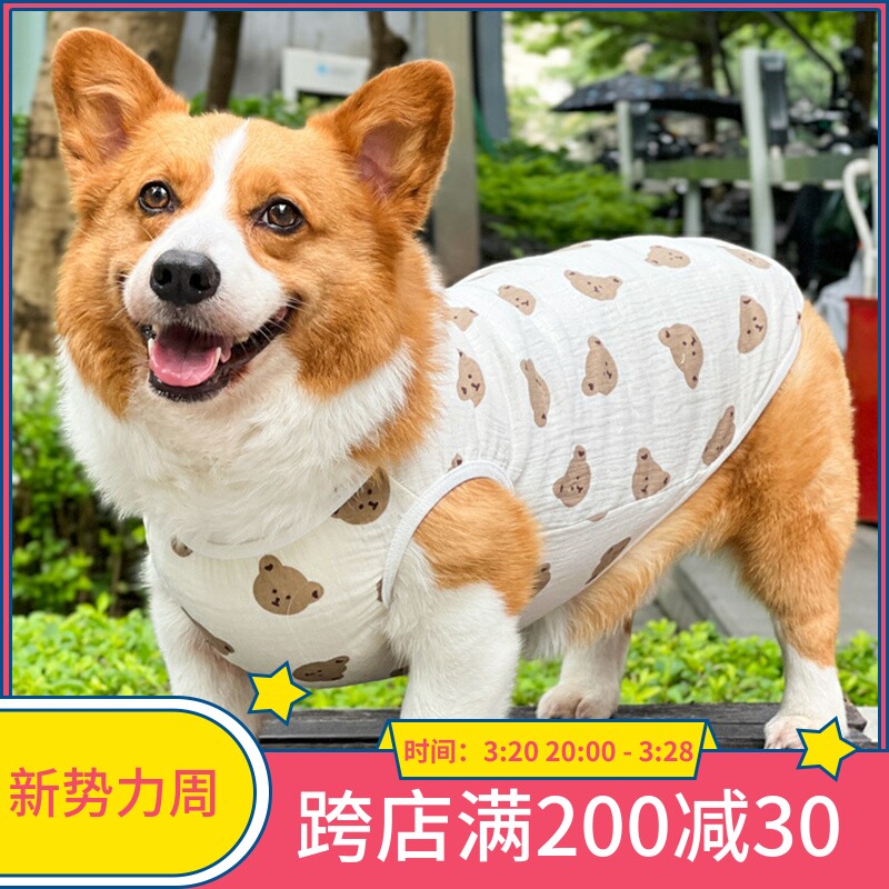 柯基狗衣服春秋款防掉毛现货柴犬泰迪宠物比熊幼犬透气可爱背心