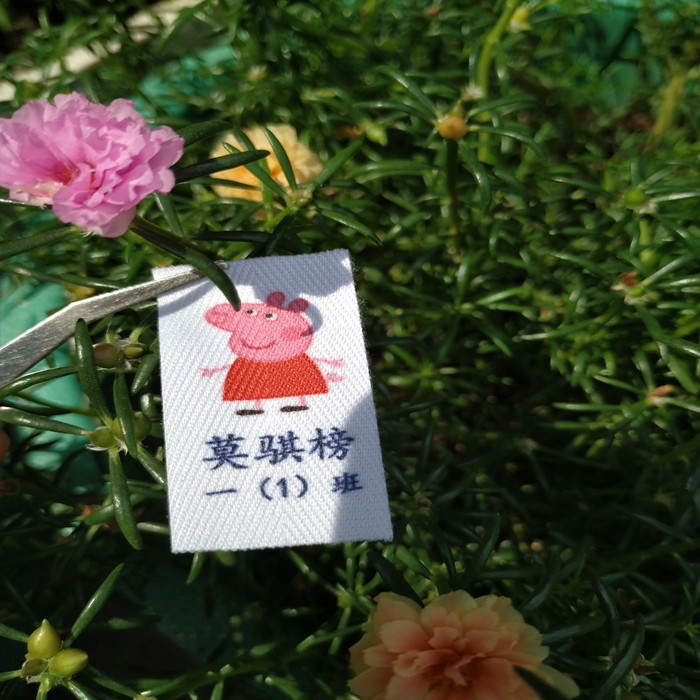 竖版棉布印名字姓名贴条带幼儿童学生老人防走失防水商领标签唛头