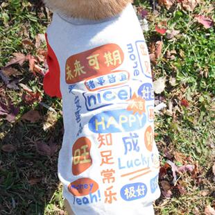 宠物新年喜庆卫衣柴犬柯基泰迪金毛阿拉斯加小型犬中大型犬狗衣服