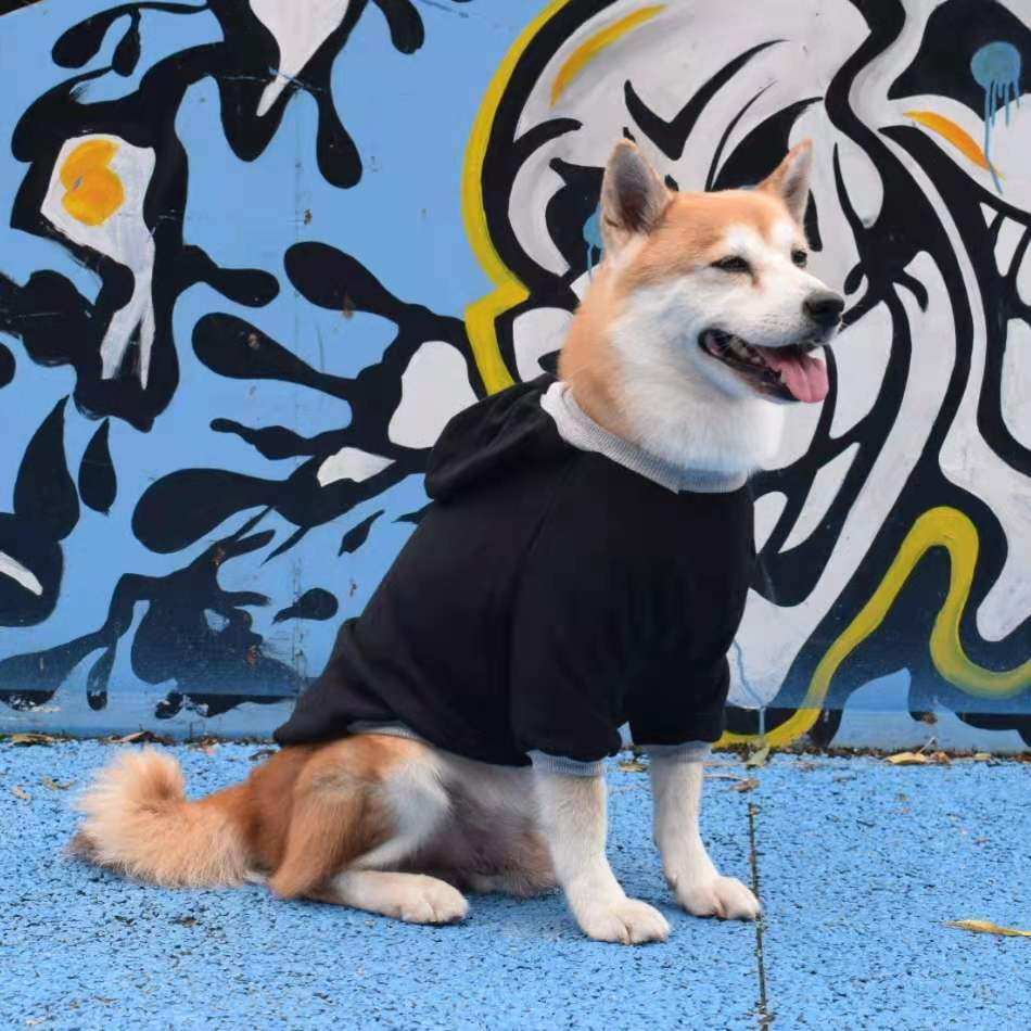 春秋新款纯色连帽圆领卫衣柴犬柯基比熊泰迪金毛萨摩哈士奇狗衣服