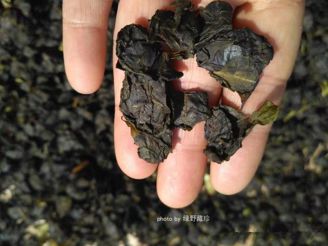 年清明雪峰甜茶野生多穗石柯胜青欠留石崖双降茶糖友食品清补凉18