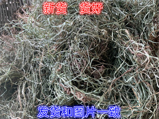 中药材水蜈蚣寒筋草散寒草猴子草水蜈蚣草金钮草 包邮 500克