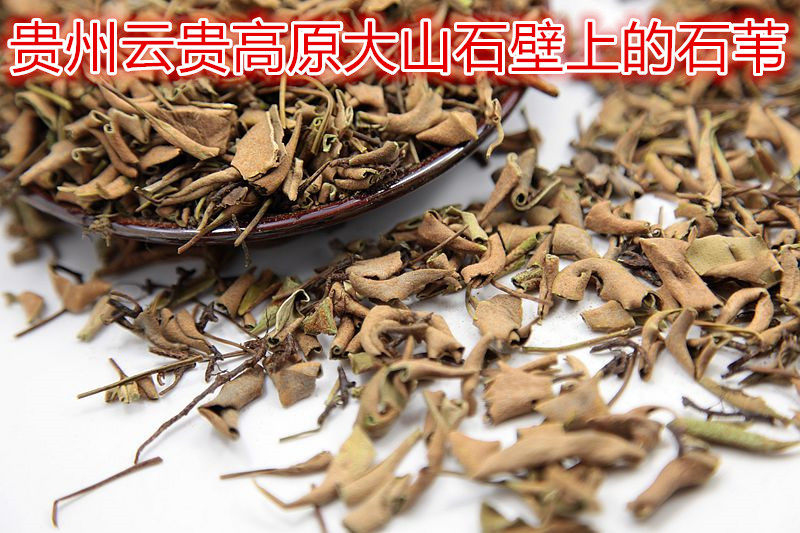 贵州云贵高原大山石壁天然野生石苇石韦石樜石皮金星草500克包邮
