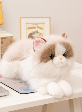 可爱仿真猫咪玩偶毛绒发声会叫布偶猫猫安抚抱枕送女孩生日礼物