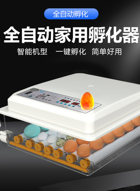 孵化器小型家用水床孵蛋器全自动智能孵化机鸡鸭鹅鸽子鹦鹉孵化箱