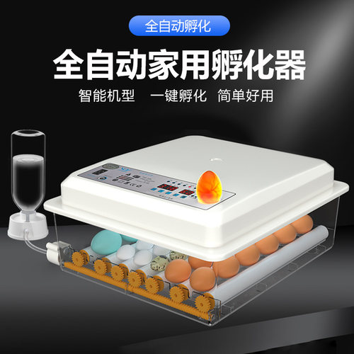 全自动智能小型家用水床孵化器