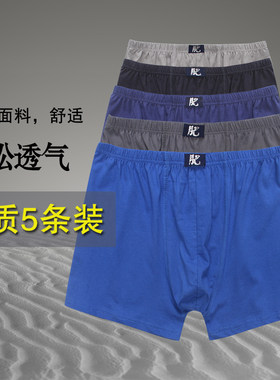 天天特价五条大码宽松男士纯棉