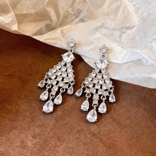 Fringe Earrings Teardrop Studs Chic Luxury Sparkling Zircon